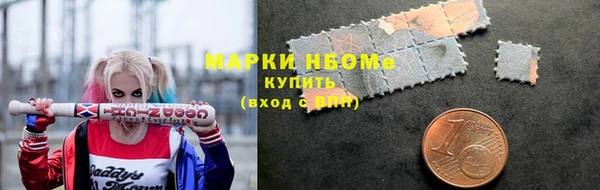 мет Алексин