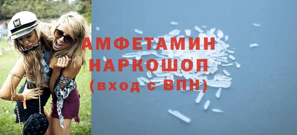 мет Алексин