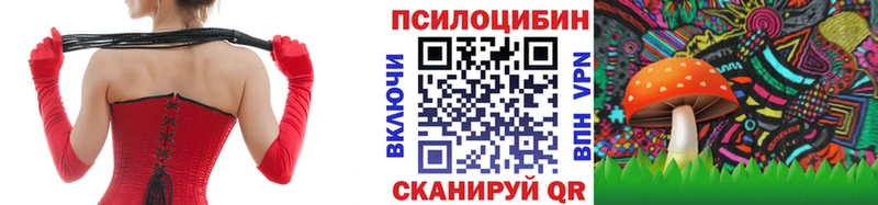 Галлюциногенные грибы Psilocybe  Джанкой 
